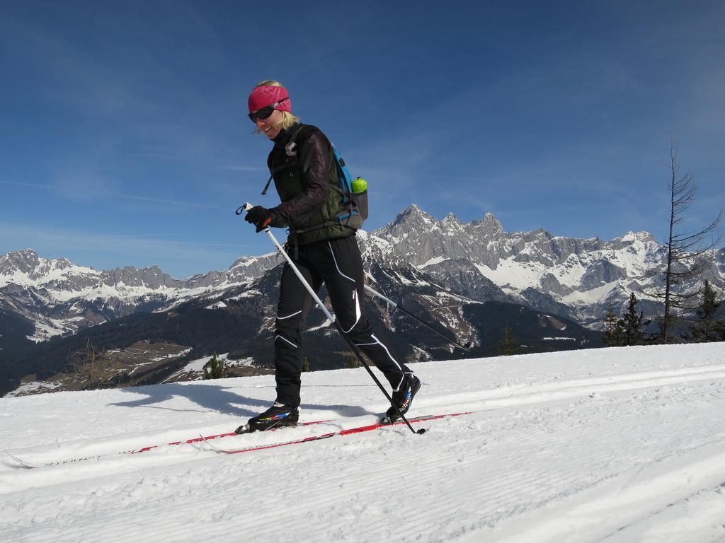 Austrian Alpine Apartments 람자우 암 다흐스타인 외부 사진