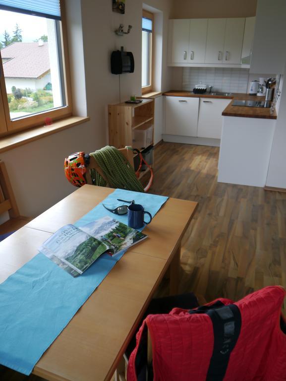 Austrian Alpine Apartments 람자우 암 다흐스타인 외부 사진