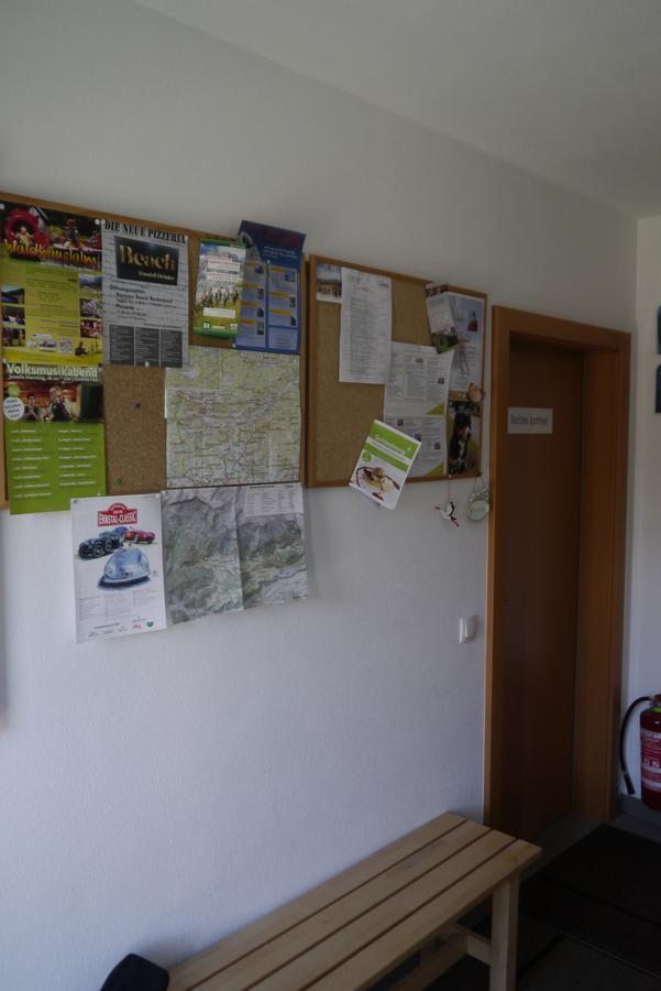 Austrian Alpine Apartments 람자우 암 다흐스타인 외부 사진